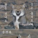 코끼리찻집