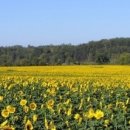 강서공인중개사사무소 이미지