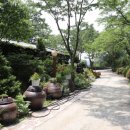 흥부바지걸쳐입고 이미지