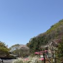 감악산도토리국수 | 파주 감악산 5시간 등산! 감성 찾으러 갔다가 종아리 잃고 왔습니다 (감악산 등산 후기+감악산 맛집)