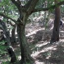 (주)산동개발