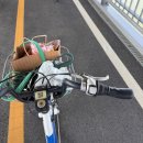대통령기록관건너편녹지 | 세종 금강보행교 이응다리 산책하고 자전거 전망대 피크닉까지 즐긴 하루 세종시 여행 가볼만한곳 주차...