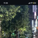 압구정 이미지