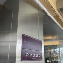 2275 | 서울 5성급 호캉스 앰버서더 서울 풀만 호텔 디럭스룸 킹룸 시티뷰 1514호 후기