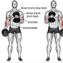 휘트니스오름 분평점 이미지