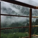 신화행정사사무소 이미지