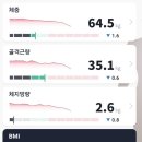 김마루 이미지