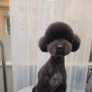 안녕, 뭉실 이미지