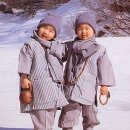 볼가 이미지