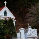 영창목장 이미지