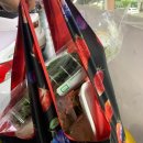 계룡산동학사스타 이미지