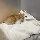 새로이동물병원 이미지