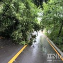 관광특구 진입로 이미지