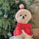 S마켓(시영점) | 11월 일상 . 바쁜 겨울