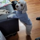 심야종점 이미지