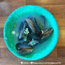 노래하는포장마차 | 일산 가로수길 맛집 서촌계단집 내돈내산 후기, 포장마차 분위기에서 싱싱한 제철 해산물을 맛볼 수 있어요