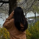 위너 | 여자 긴머리 레이어드 C컬 헤어스타일 광주 미용실 더위너 운남점 레인 디자이너