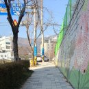 성지연꽃길 이미지