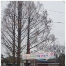 중인초등학교병설유치원 이미지