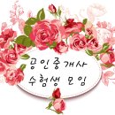 휴매니아