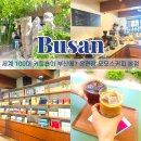 참피온애견 | 부산명소 온천장 카페 모모스커피 본점 주차장 애견 동반 메뉴 솔직후기