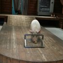 차돌어린이집 이미지