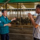 연일축산 이미지