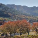 나린농장 이미지