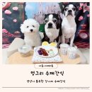 와와네 수제간식 이미지