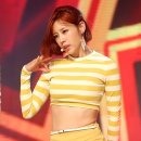 분당-329 이미지