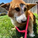 아서농장 이미지