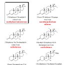 The Real Anabolic Steroids (진정한 동화작용 스테로이드) 이미지