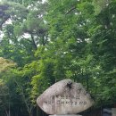 동성자원 | 해인사 청년객실 후기 (ft. 템플스테이 자원봉사와 차이점)