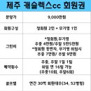 캐슬렉스CC 이미지