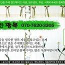 행복한광목