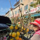 옥실농장 이미지