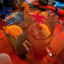 🍻 성신여대 술집 추천! 제주 분위기 물씬 &#39;한라맥주&#39; 후기✨