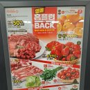 (주)칩플러스
