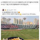 뽑기하고 갈래 이미지