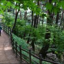 오감연결길 이미지