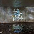 정평천 헤럴드경제