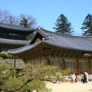 공주-58 이미지