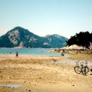 서해바다 - 용산구 한강대로 391 | 서해바다