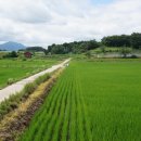 우복 정경세 신도비 이미지