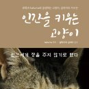 수정태평1-D-1 이미지