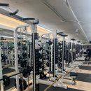 크레이지독스짐 이미지