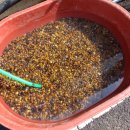 경남농약종묘사 | 하동 재첩국, 한다사섬진강재첩 오래된 맛집