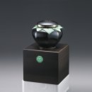 아침나무한의원 이미지