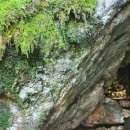 감로수약수터 이미지