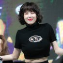 디젤클럽